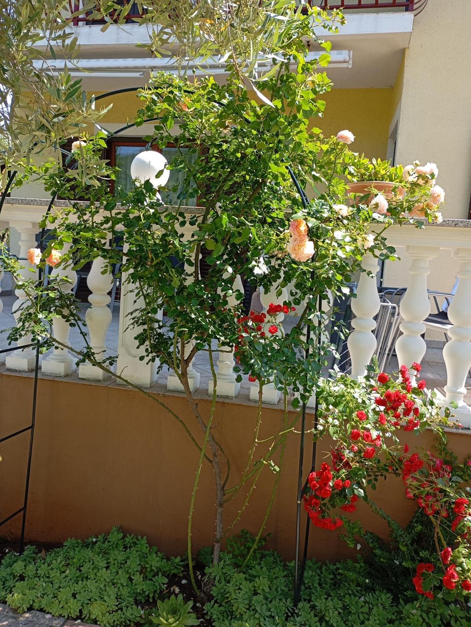 Apartments Nina ราฟนี ภายนอก รูปภาพ